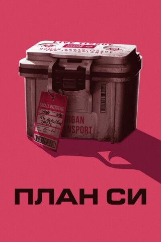 План Си / Plan C (2026) WEB-DLRip | AVC